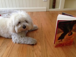 Don't bother me. I'm reading.